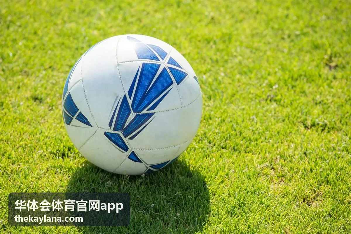 华体会体育官网app篮球焦点赛直播看点封面
