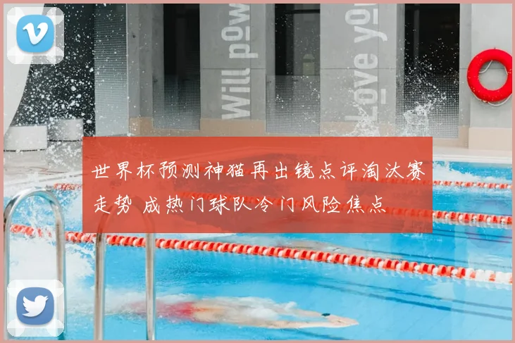世界杯预测神猫再出镜点评淘汰赛走势 成热门球队冷门风险焦点