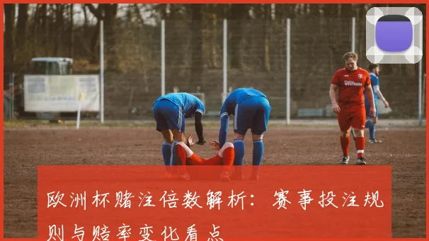 欧洲杯赌注倍数解析:赛事投注规则与赔率变化看点