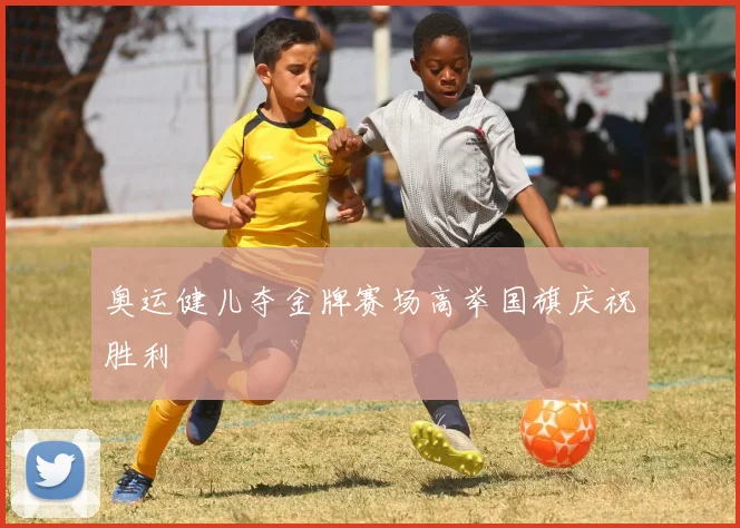 奥运健儿夺金牌赛场高举国旗庆祝胜利